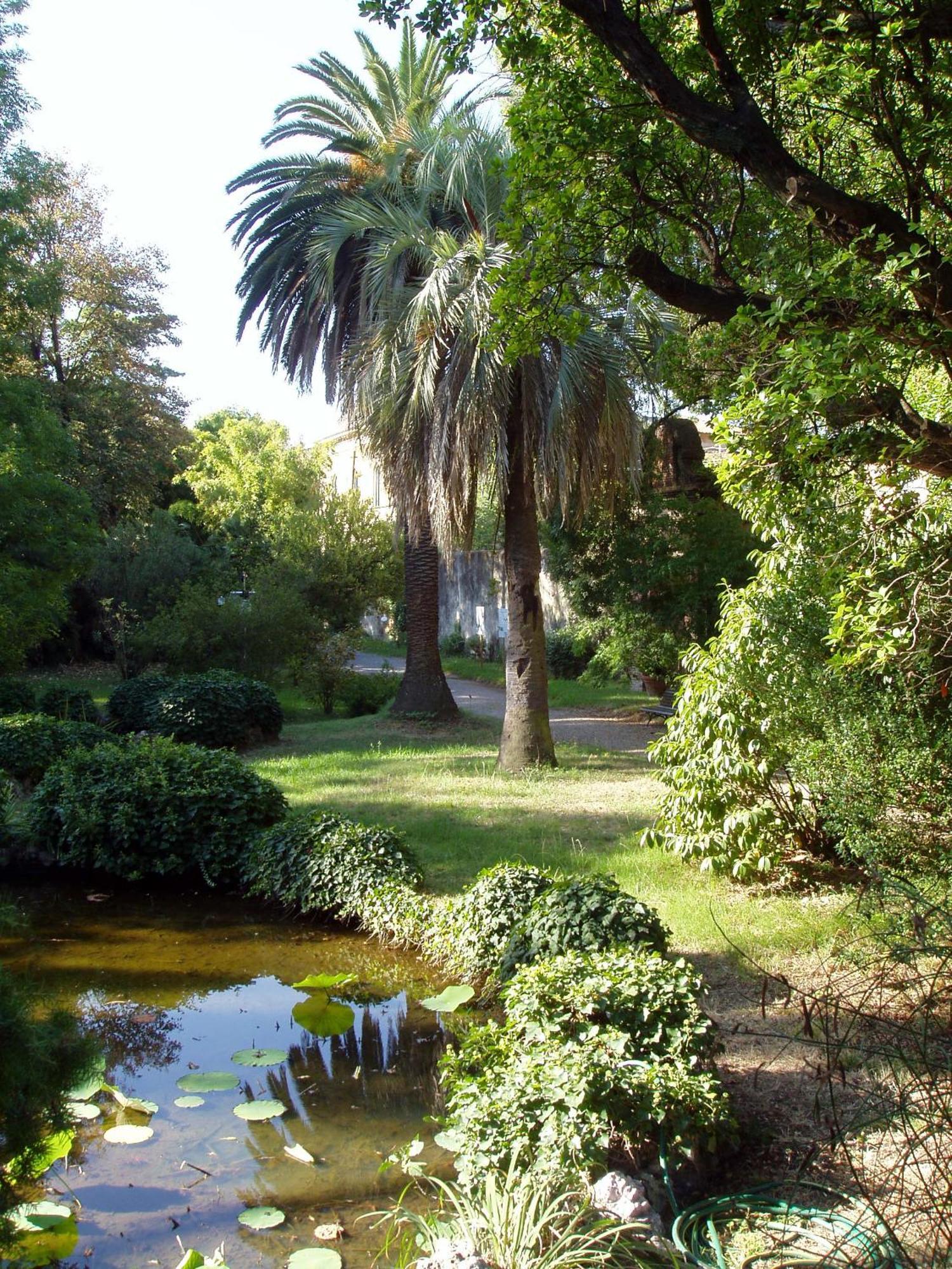 Апартаменты Hagley Park Hidden Gem Крайстчёрч Экстерьер фото